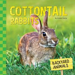 Cottontail Rabbits, ed. , v. 