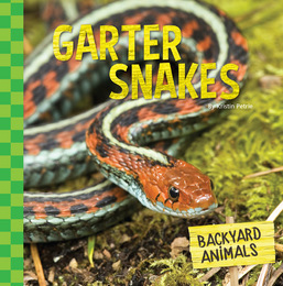 Garter Snakes, ed. , v. 