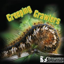 Creeping Crawlers, ed. , v. 