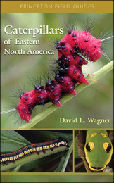 Caterpillars of Eastern North America, ed. , v. 