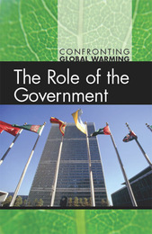 The Role of the Government, ed. , v. 