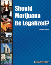 Should Marijuana Be Legalized?, ed. , v. 