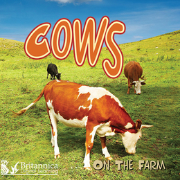 Cows on the Farm, ed. , v. 