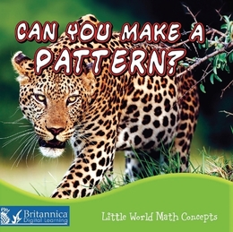 Can You Make a Pattern?, ed. , v. 