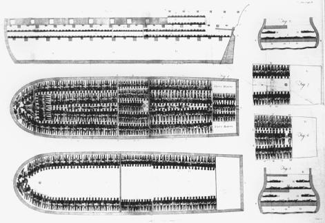 Human Cargo, Inhuman Conditions. This diagram, produced after the passage of the British Slavery Regulation Act of 1788—an attempt at bringing some order to the slave trade—shows the layout of the British slave ship Brookes, revealing the appalling living conditions to which captive Africans were subject during their forced voyage across the Atlantic. Slaves were usually chained side-by-side in tightly packed confines below decks, where they were left to live or die in their own waste. In case of water shortage or spreading illness, slavers would often murder slaves and throw them overboard to try to ensure the healthy delivery of the remaining slaves. LIBRARY OF CONGRESS