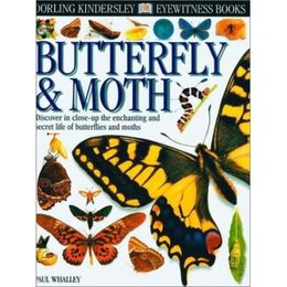 Butterfly, ed. , v. 