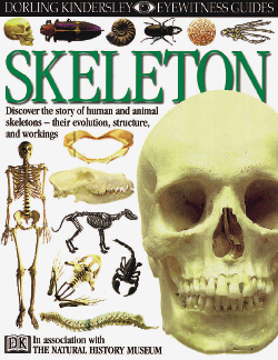 Skeleton, ed. , v. 