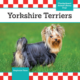 Yorkshire Terriers, ed. , v. 