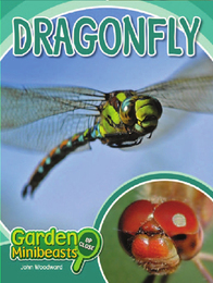 Dragonfly, ed. , v. 