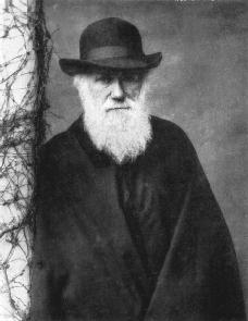 Charles Darwin, c. 1880. THE GRANGER COLLECTION