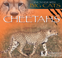 Cheetahs, ed. , v. 