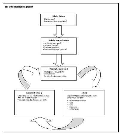 Figure 1 The team development process