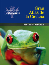 Reptiles y anfibios, ed. , v. 