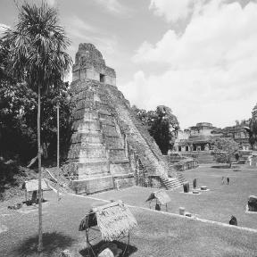 The ruins of Tikal, a once thriving trade center for Maya merchants.  Enzo and Paolo Ragazzini/Corbis.
