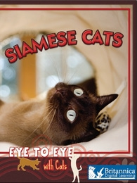 Siamese Cats, ed. , v. 