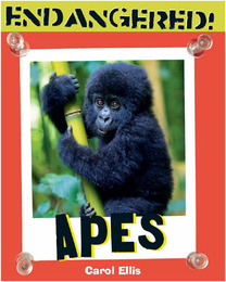 Apes, ed. , v. 