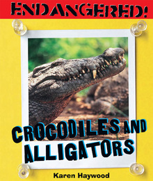 Crocodiles and Alligators, ed. , v. 