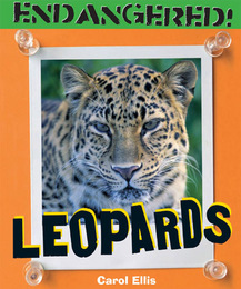 Leopards, ed. , v. 