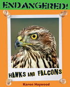 Hawks and Falcons, ed. , v. 