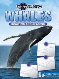 Whales, ed. , v. 