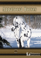 Appaloosa Horses, ed. , v. 