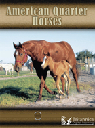 American Quarter Horses, ed. , v. 