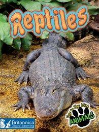 Reptiles, ed. , v. 