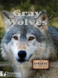 Gray Wolves, ed. , v. 