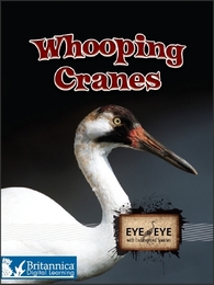 Whooping Cranes, ed. , v. 
