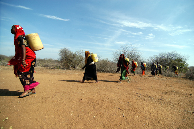 Delivering Water under the Hot Desert Sun. A group of Kenyan Oromos (an ethnic division of Ethiopia) travel through the desert to deliver water to Oromo Liberation Front (OLF) troops in 2006. The walk takes a full day, and they each carry at le