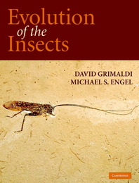 Evolution of the Insects, ed. , v. 
