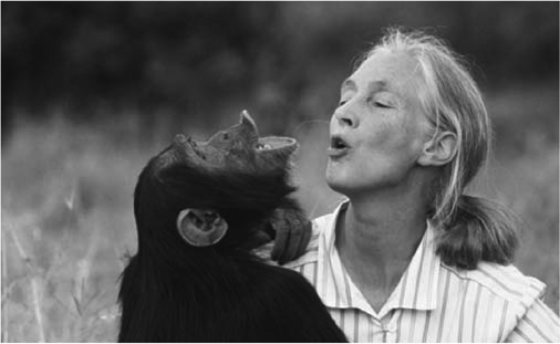 Jane Goodall, who is known around the world for her work with chimpanzees in Africa