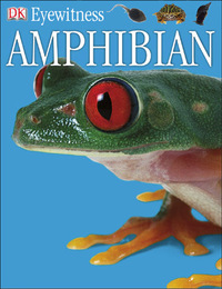 Amphibian, Rev. ed., ed. , v. 