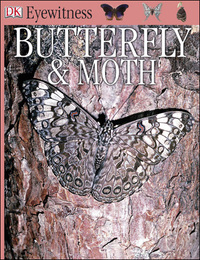 Butterfly & Moth, ed. , v. 