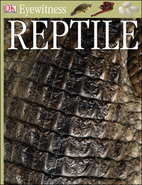 Reptile, ed. , v. 