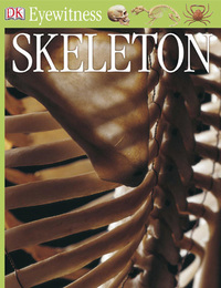 Skeleton, Rev. ed., ed. , v. 