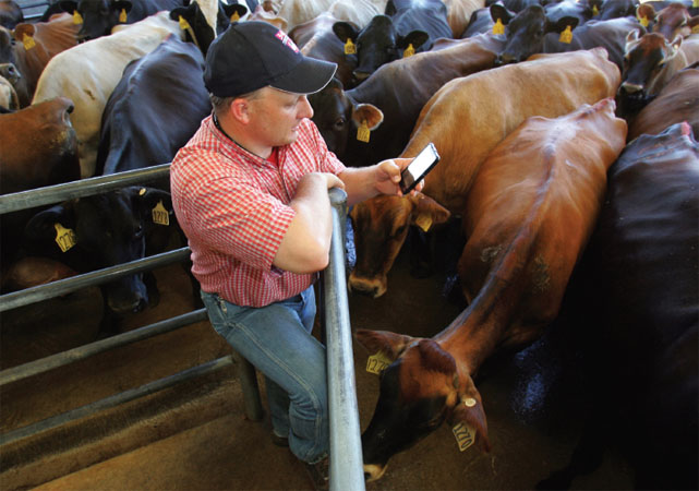 California dairy farmer Ray Prock uses Twitter while working in order to connect with consumers. Prock and other farmers established AgChat Foundation, which encourages farmers to use Facebook, Twitter, YouTube, and other Web sites to reach out