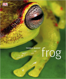 Frog, ed. , v. 
