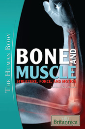 Bone and Muscle, ed. , v. 