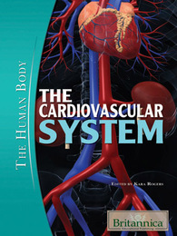 The Cardiovascular System, ed. , v. 