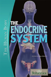 The Endocrine System, ed. , v. 