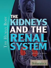 The Kidneys and the Renal System, ed. , v. 