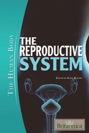 The Reproductive System, ed. , v. 