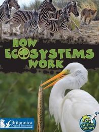 How Ecosystems Work, ed. , v. 
