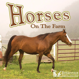 Horses on the Farm, ed. , v. 