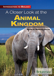 A Closer Look at the Animal Kingdom, ed. , v. 