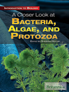 A Closer Look at Bacteria, Algae, and Protozoa, ed. , v. 