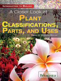 A Closer Look at Plant Classifications, Parts, and Uses, ed. , v. 