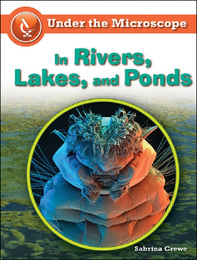 In Rivers, Lakes, and Ponds, ed. , v. 