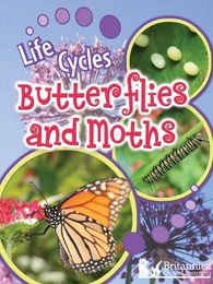 Butterflies and Moths, ed. , v. 